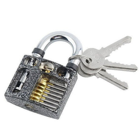 Cutaway 6-pin practice padlock showing visible pin chamber