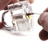 Dangerfield SOHO rake used in a clear practice padlock