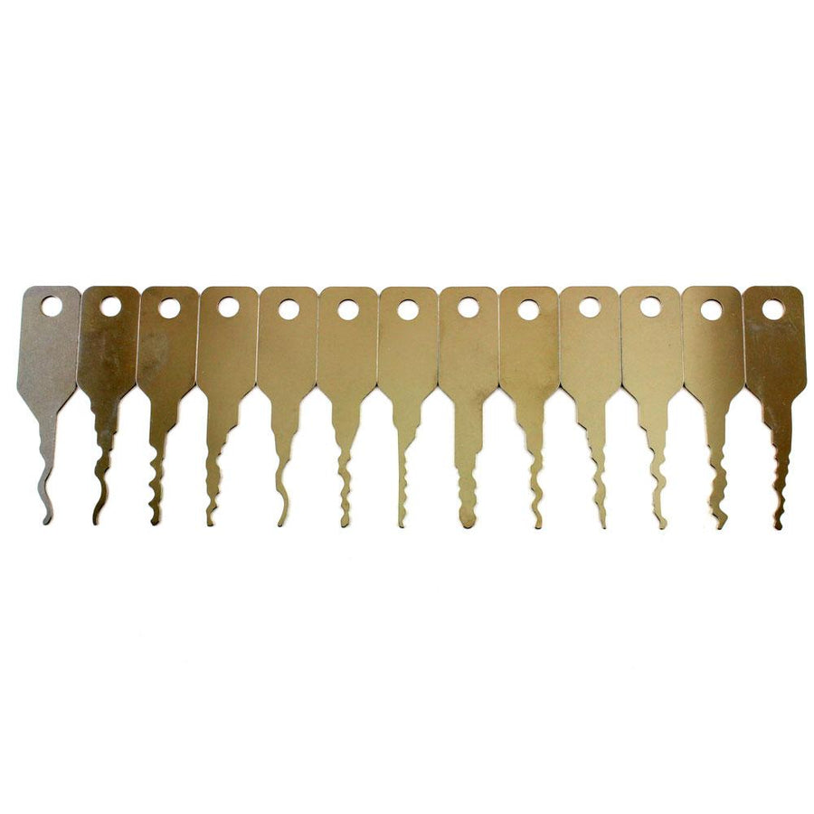 Skeleton Keys | One tool to lock pick many locks