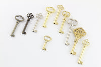 10 Piece Bit + Barrel Skeleton Keys