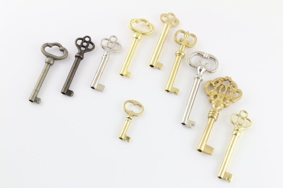 10 Piece Bit + Barrel Skeleton Key Selection